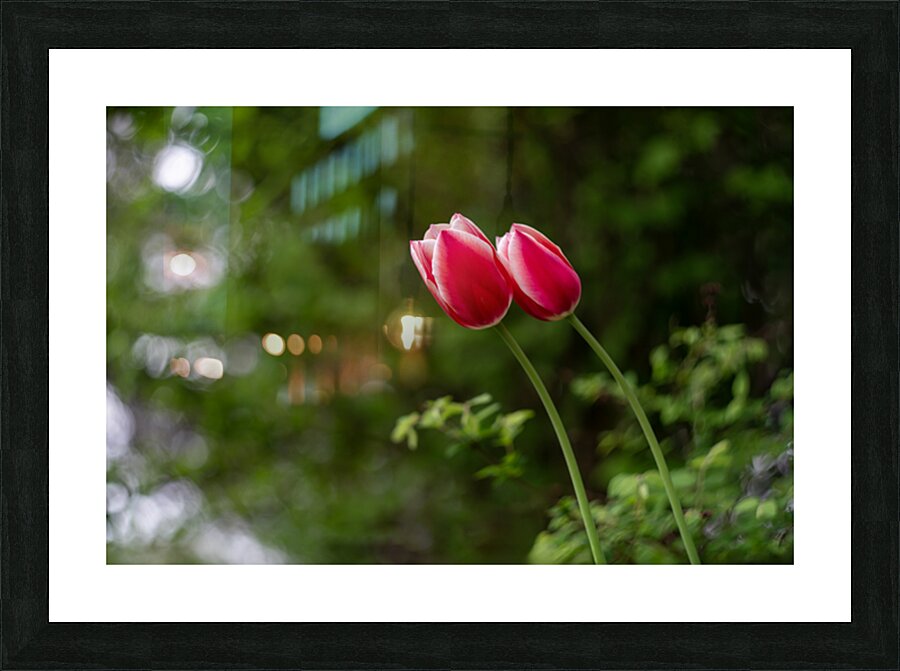 SBP8211 Picture Frame print