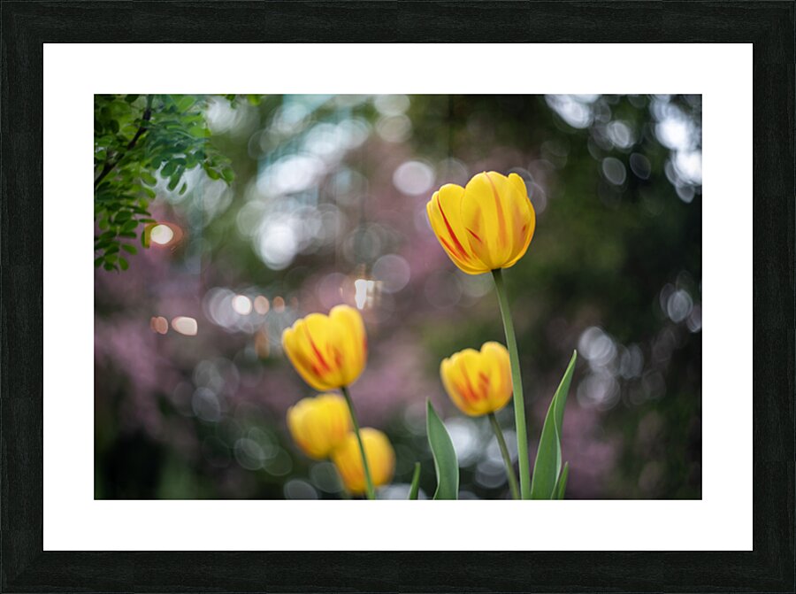 SBP8162 Picture Frame print