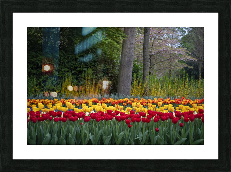 SBP5724 Picture Frame print