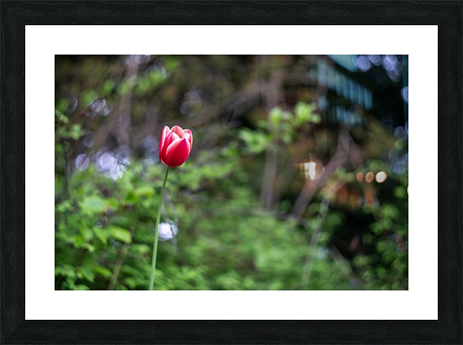 SBP8207 Picture Frame print