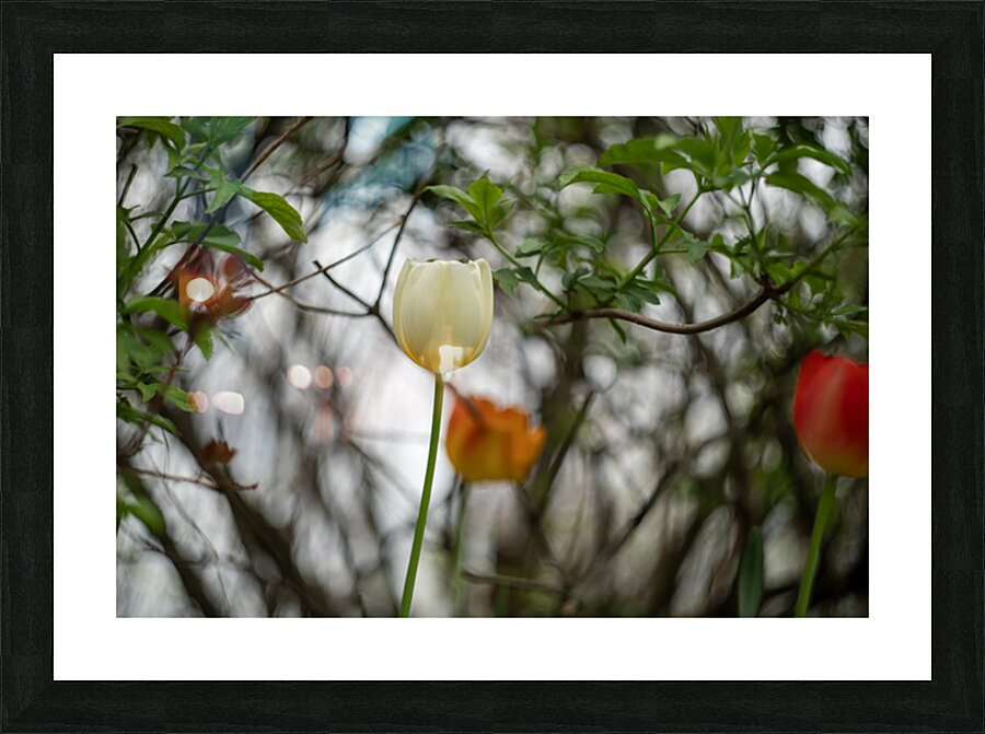 SBP8285 Picture Frame print