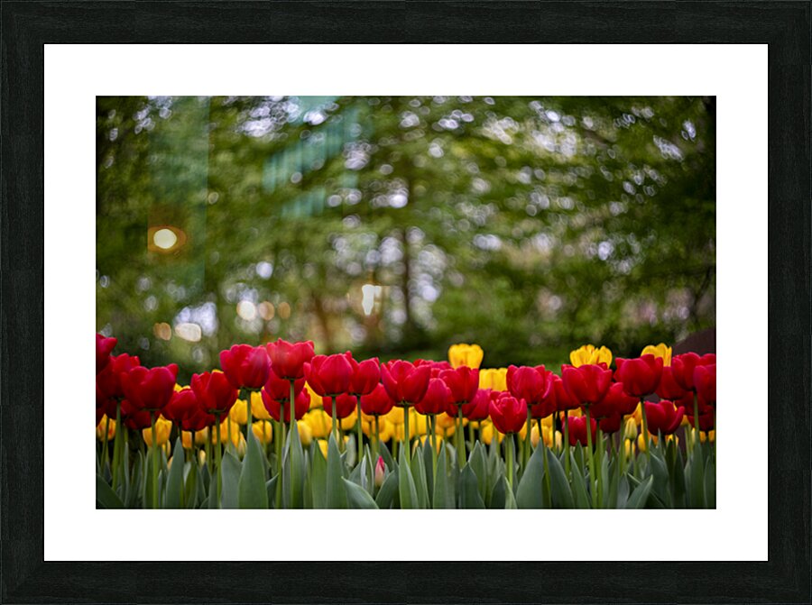 SBP5721 Impression et Cadre photo