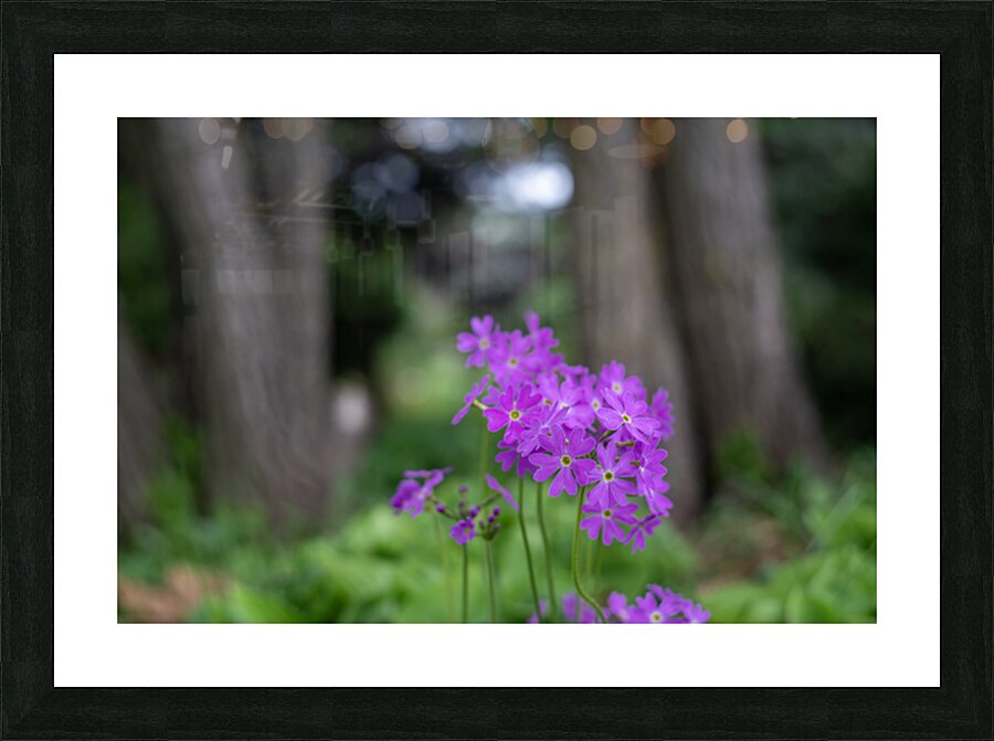 SBP8427 Picture Frame print