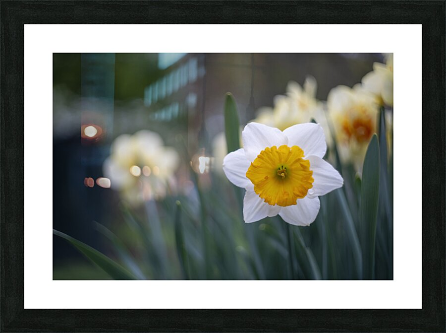 SBP5653 Picture Frame print