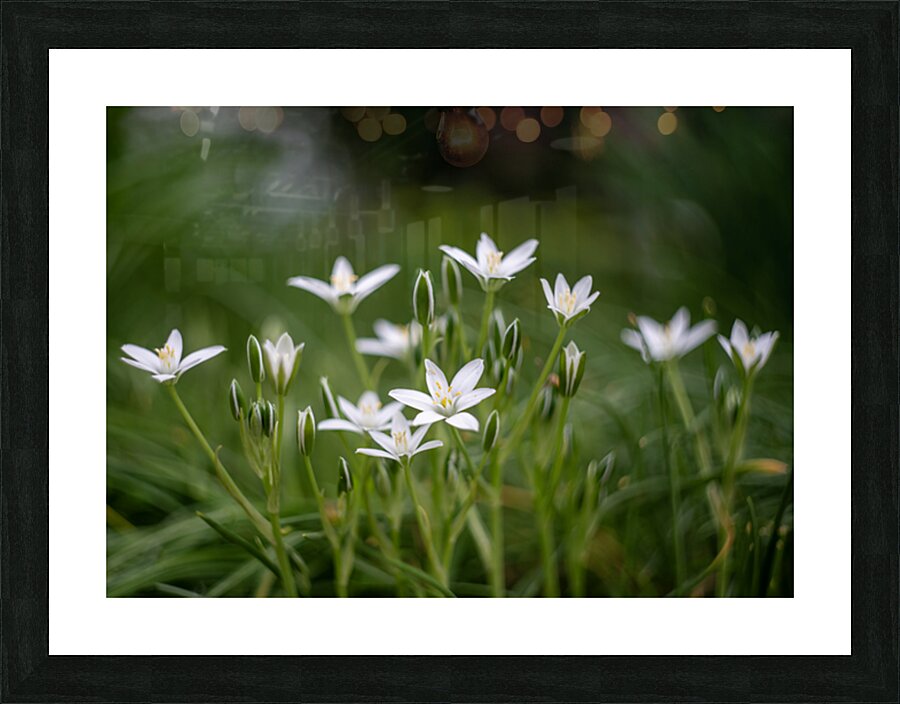 SBP8139 Picture Frame print