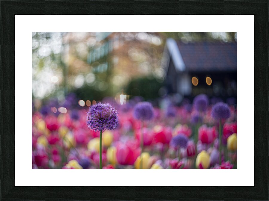 SBP5487 Impression et Cadre photo