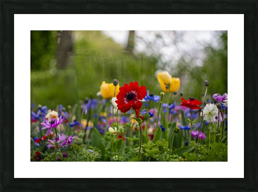 SBP5871 Picture Frame print