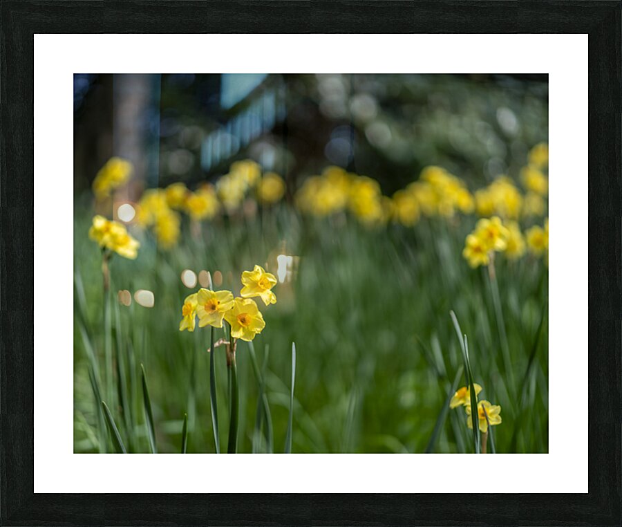 SBP5541 Picture Frame print