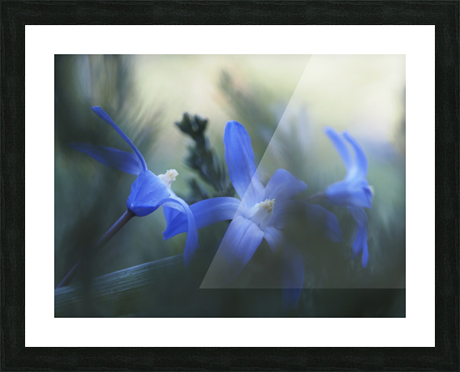 Broken Picture Frame print