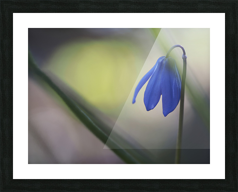 Tiny Blue Umbrella Picture Frame print