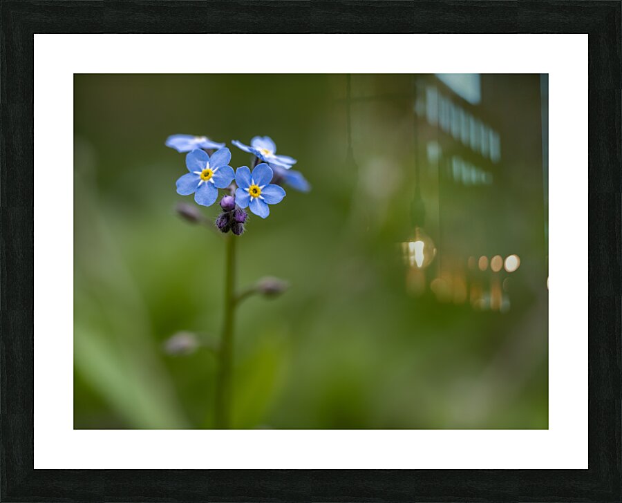 Never Forget Picture Frame print