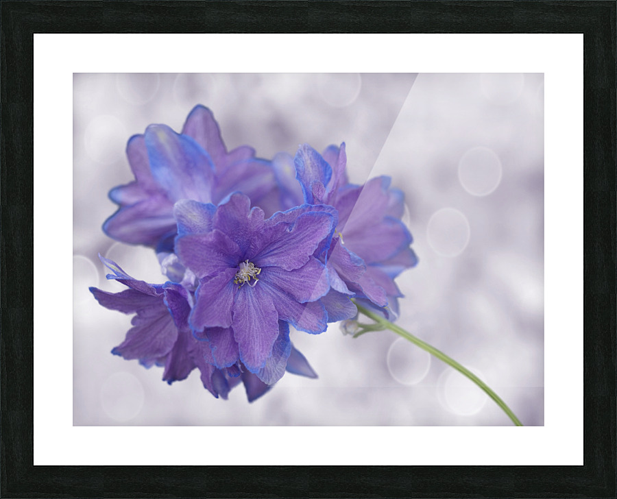 Pretty Me Impression et Cadre photo