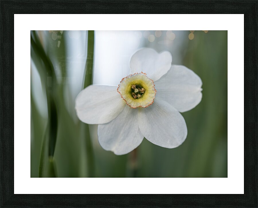 New Beginnings Picture Frame print