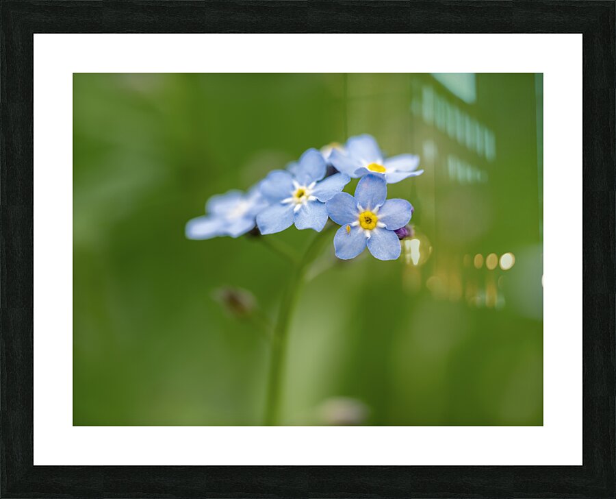 Small World Picture Frame print