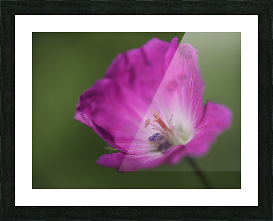 The Heart Of It Picture Frame print