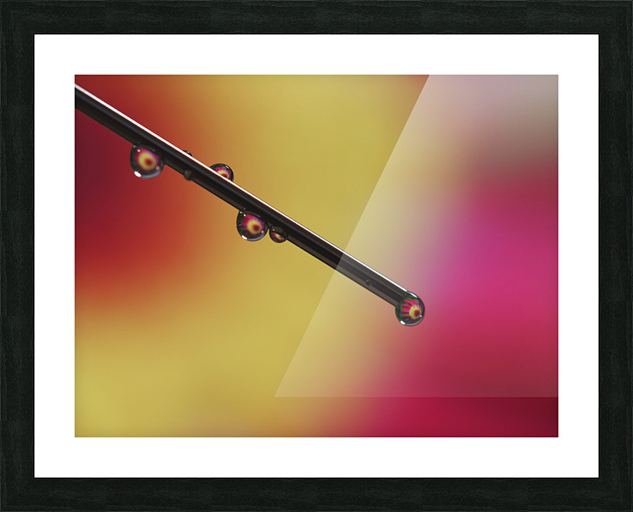 Experiment Picture Frame print