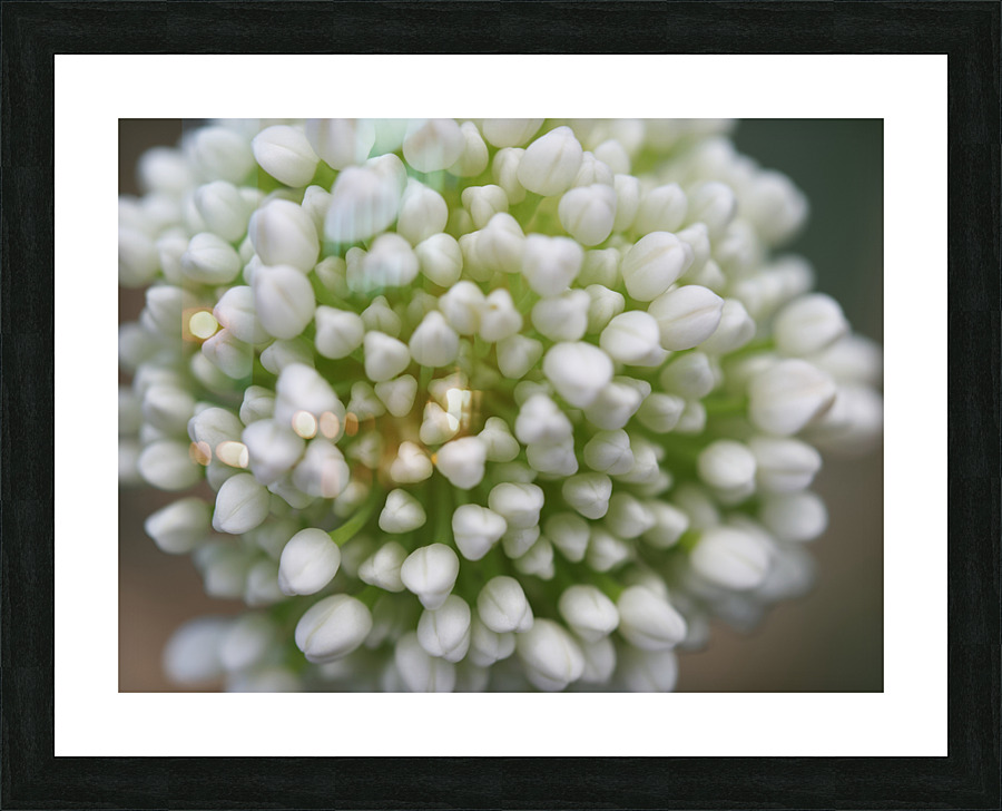 Another World Picture Frame print
