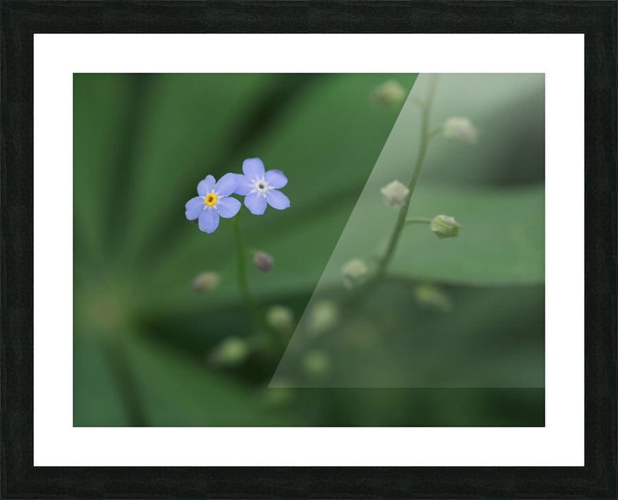 Small Universe Picture Frame print