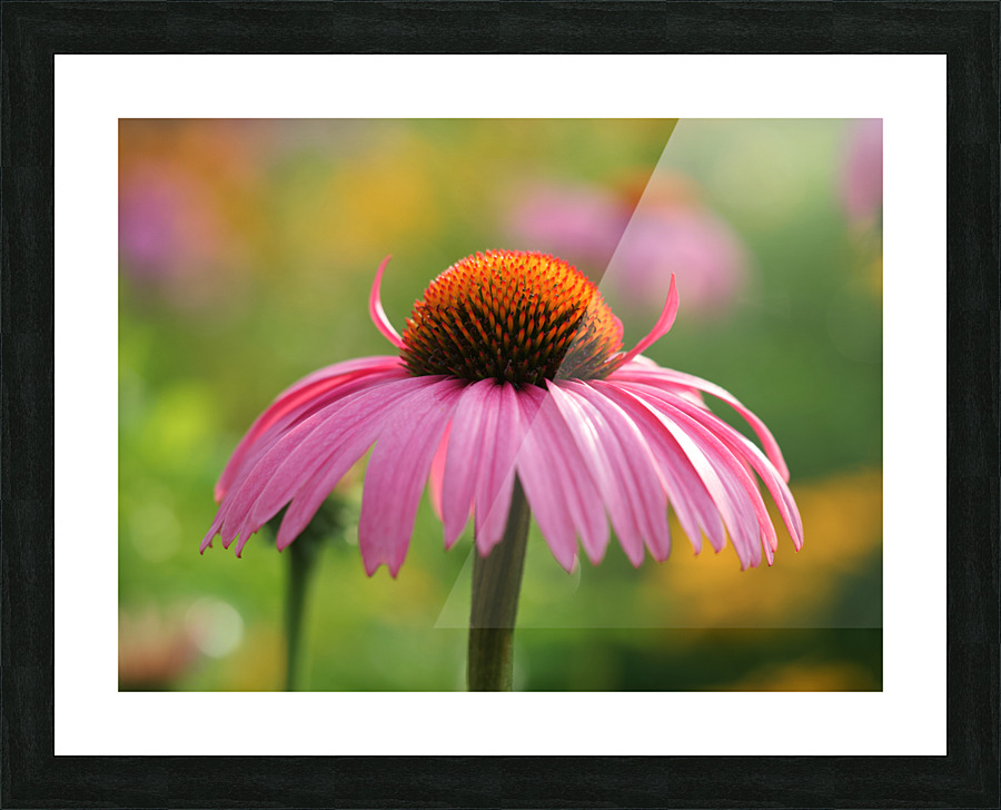 Little Devil Picture Frame print