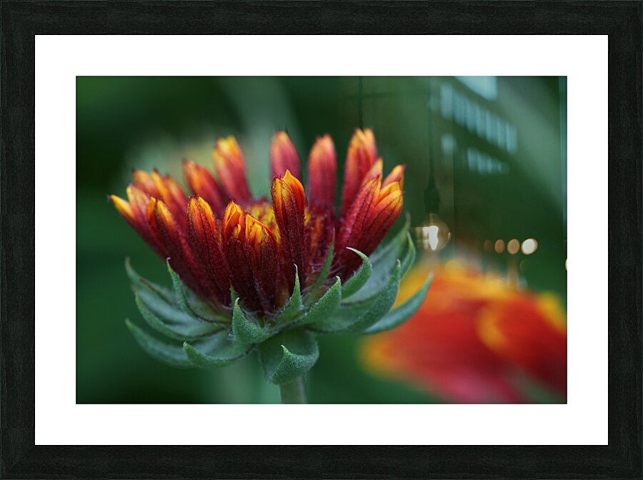 Firewheel Picture Frame print