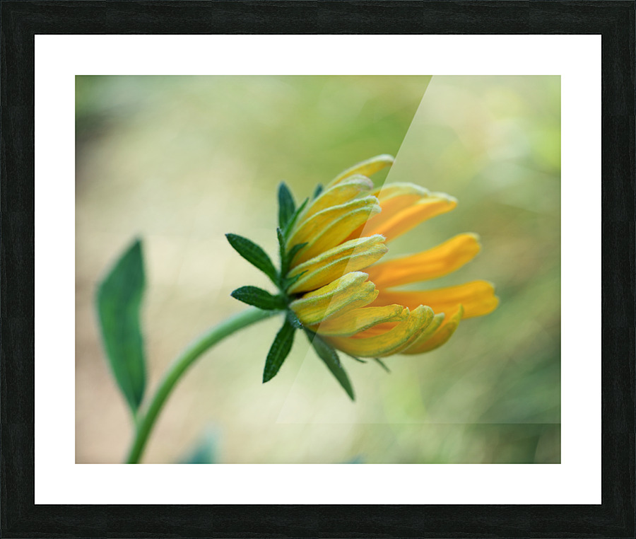 This Way Picture Frame print