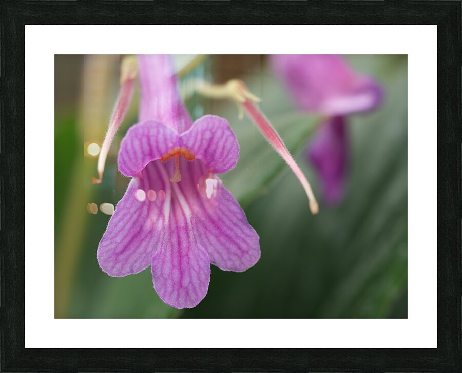 Dear Little One Picture Frame print