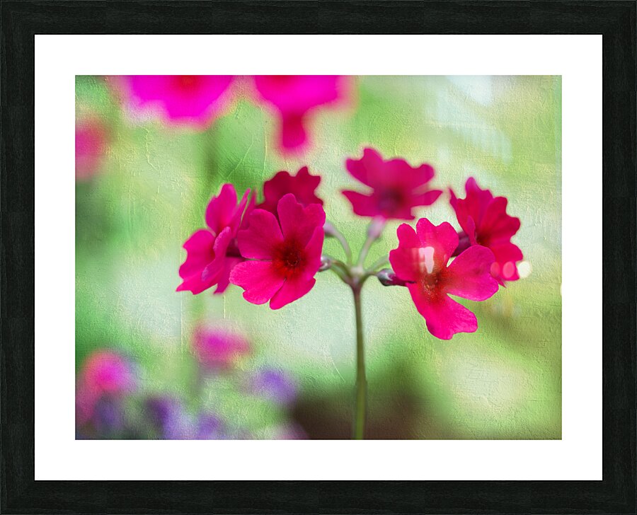 Valley Red Picture Frame print
