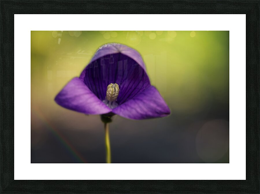 Welcome Picture Frame print