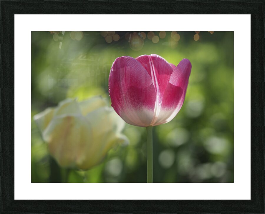 Simple Beauty Picture Frame print