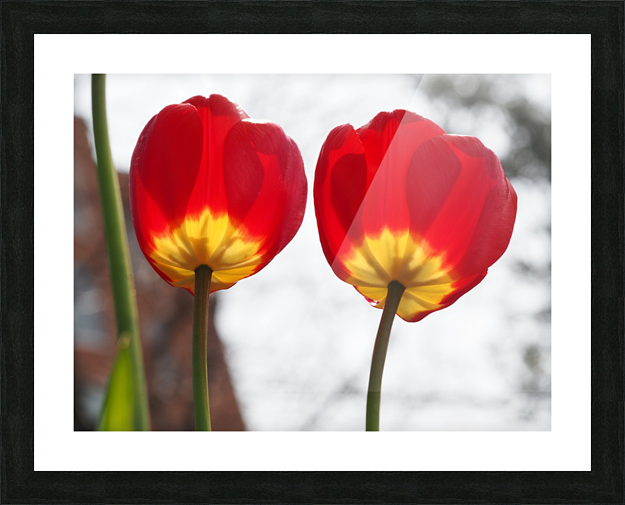 Twin Sisters Picture Frame print