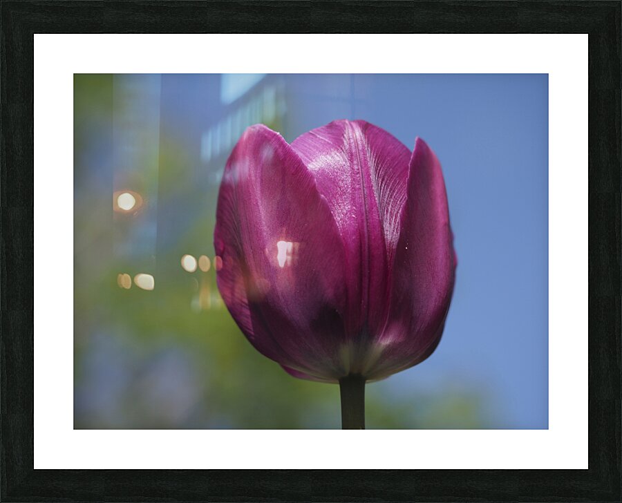 Perfect Day Picture Frame print