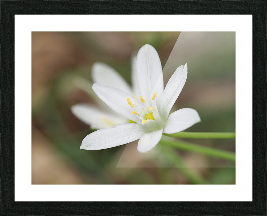 Tiniest World Picture Frame print