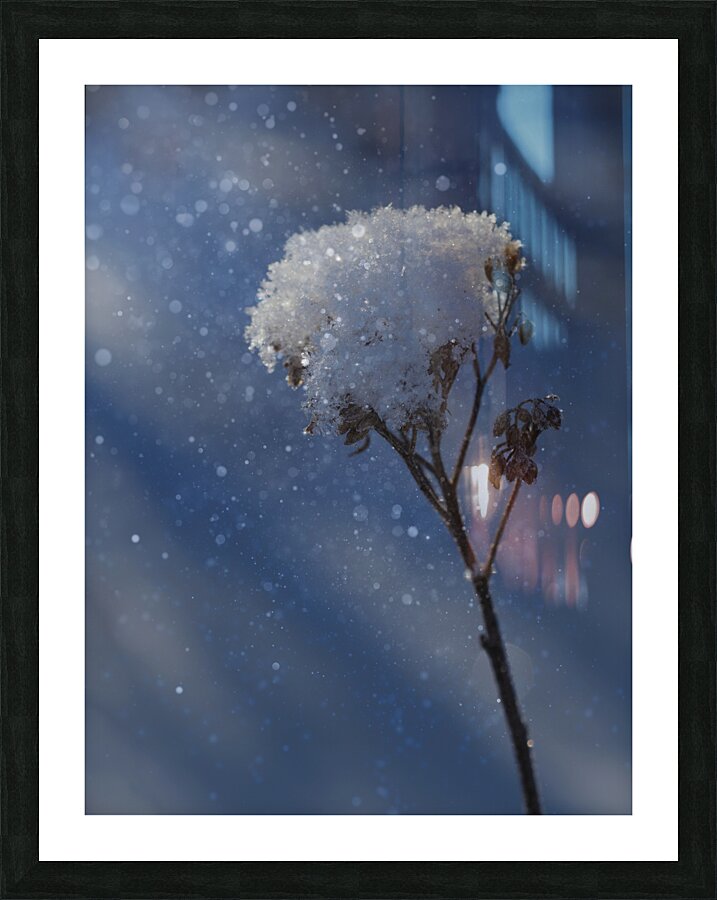 Frozen Top Impression et Cadre photo