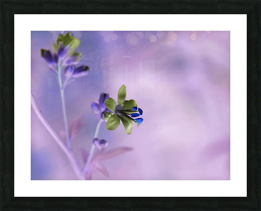 Jacob s Ladder Picture Frame print