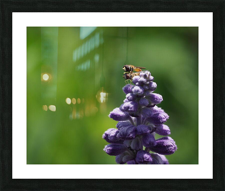 On Top Picture Frame print