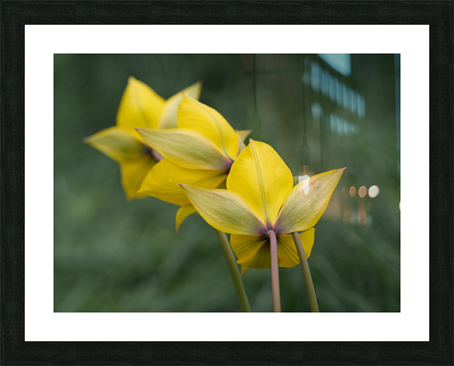 Spring Forward Impression et Cadre photo