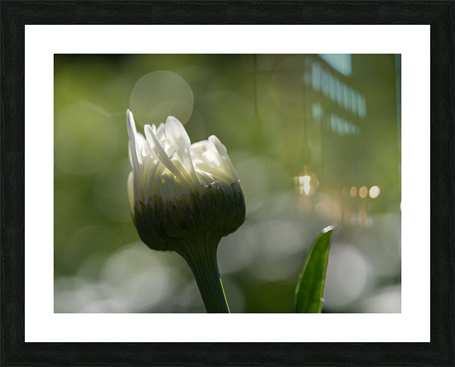 Tranquility Picture Frame print
