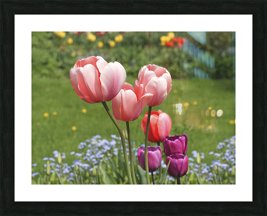 Nuances Picture Frame print