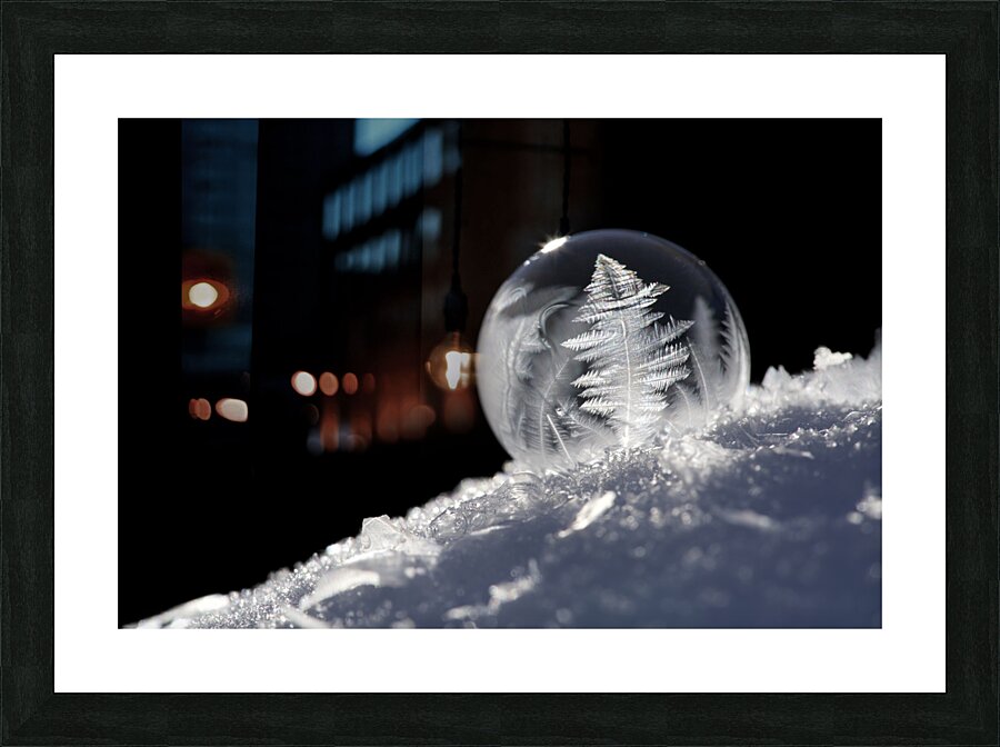 Frozen Soap Bubble Picture Frame print