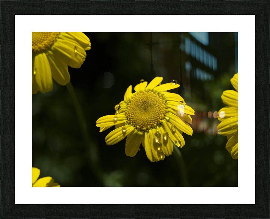 Charming Lady Picture Frame print