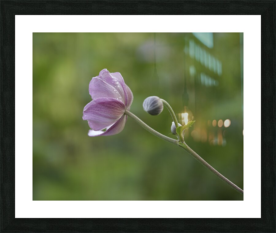 Aspiration Picture Frame print