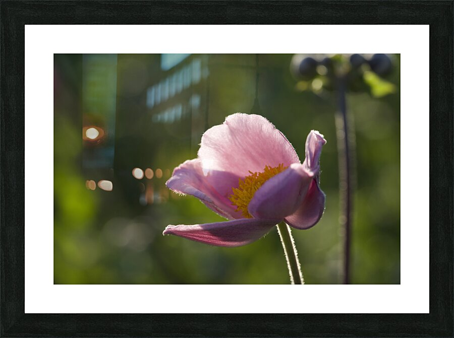 Broken Bowl Flower Picture Frame print