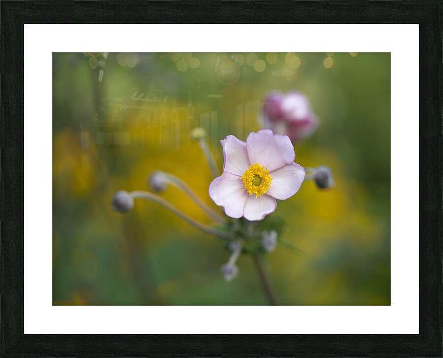 Pretty Lovely Impression et Cadre photo