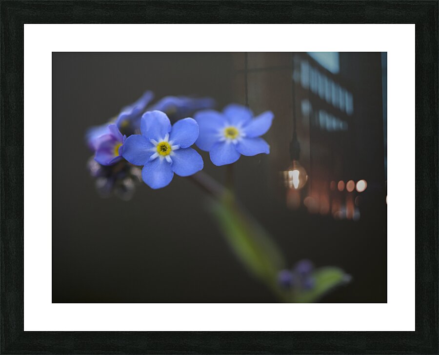 Pretty in Blue Picture Frame print