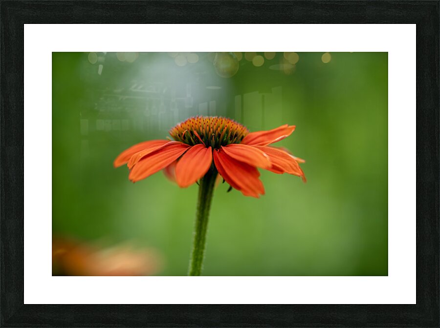 Orange You Awesome Picture Frame print