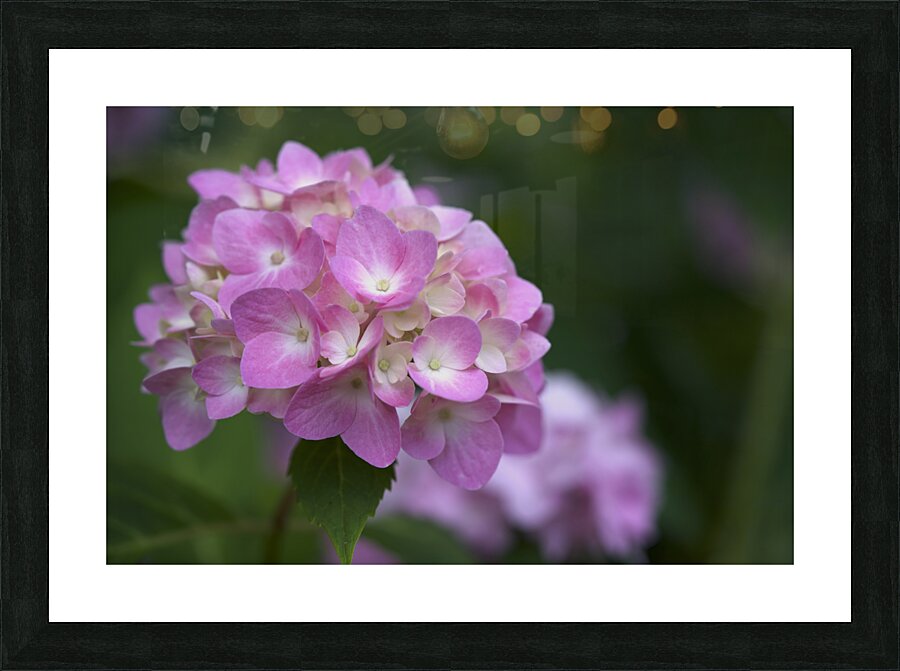 Tea of Heaven Picture Frame print