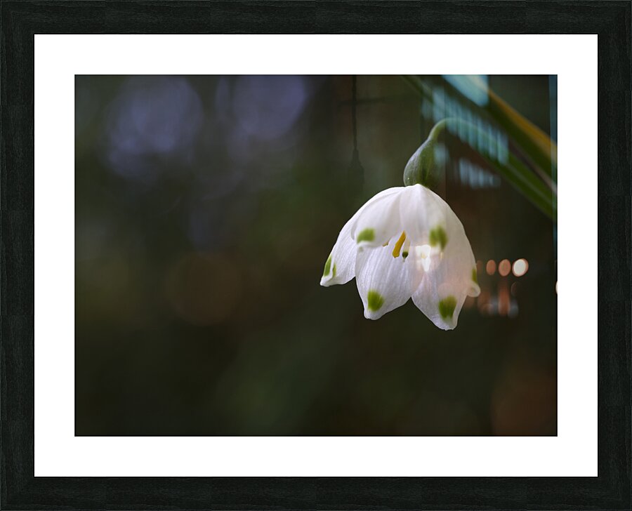 Spring Snowflake Picture Frame print
