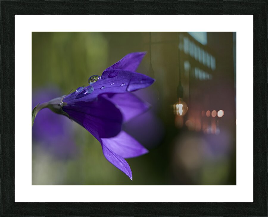Water Drop Refraction Picture Frame print