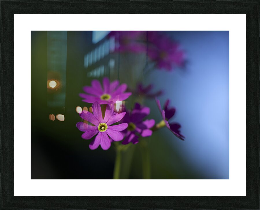 Dainty Blossoms Picture Frame print