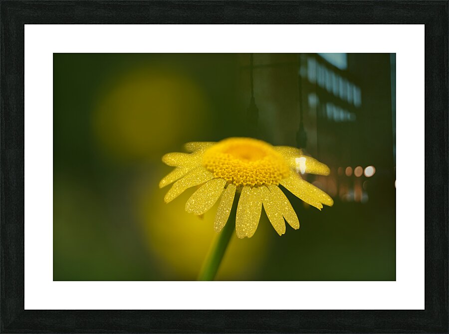 Golden One Impression et Cadre photo